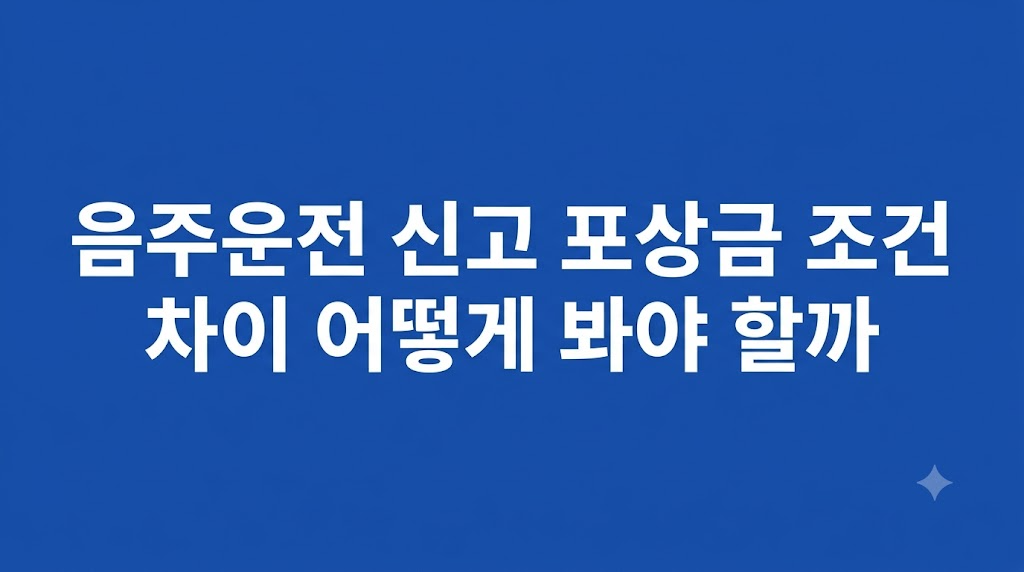 음주운전 신고 포상금 증거 정리 화면
