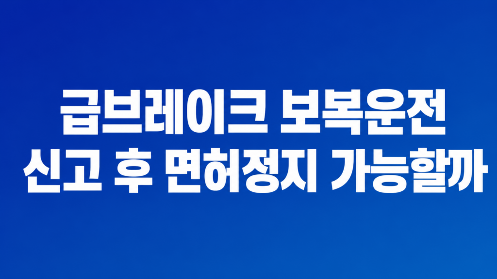 급브레이크 보복운전 신고 증거 정리 장면